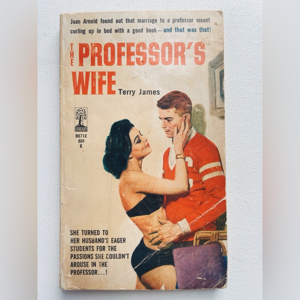 The Professor’s Wife Terry James 1962 Vintage Sleaze GGA Pulp Paperback Erotica